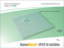 DynaMesh®-IPST visible, Dom 4 cm, peripheral left